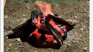 حريق محمية الإمام فيصل بن تركي يكشف مفاجأة.. هذا ما فعله الوافد السوري